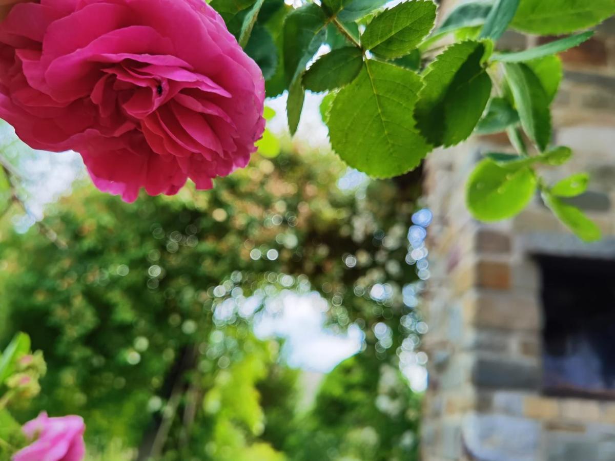 Ferienhaus Eifelrose Simmerath Dış mekan fotoğraf