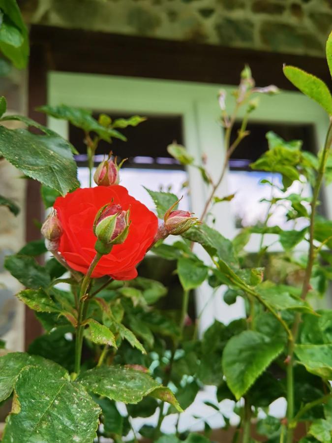 Ferienhaus Eifelrose Simmerath Dış mekan fotoğraf