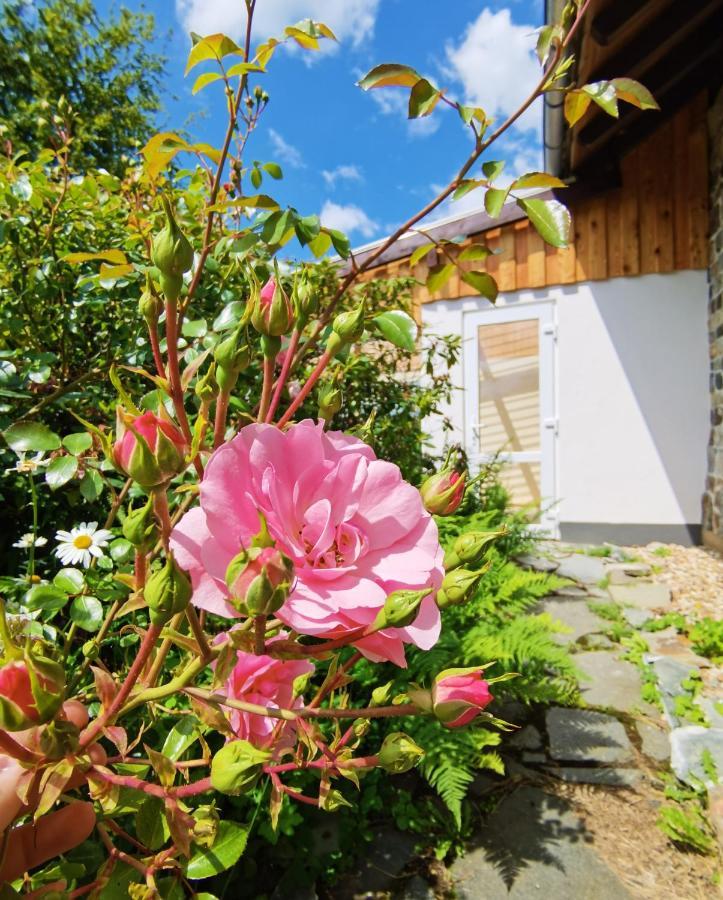 Ferienhaus Eifelrose Simmerath Dış mekan fotoğraf